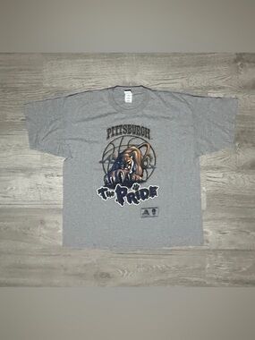 2004 Pittsburgh Panthers “The Pride”  Graphic T-Shirt - Gray